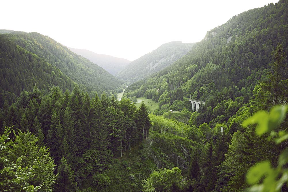 schwarzwald panorama